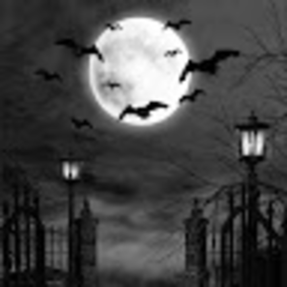 Meet your Posher, Chase